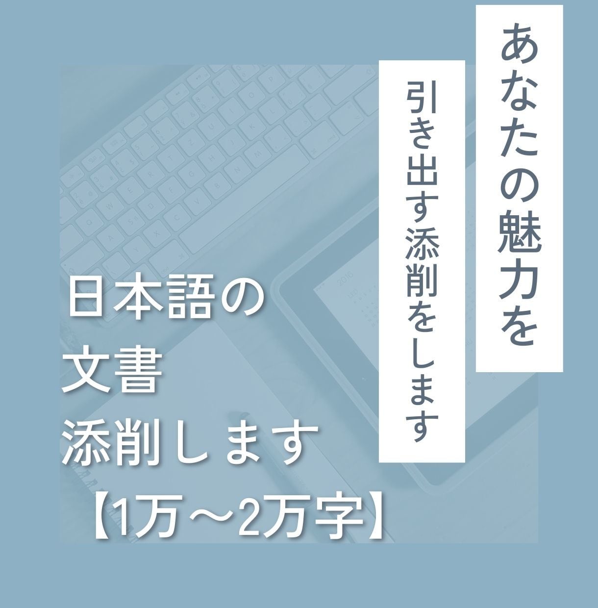 1万〜2万文字の文書（論文/レポート等）添削します 東大生ライターが、あなたの癖を踏まえ、丁寧に添削します イメージ1