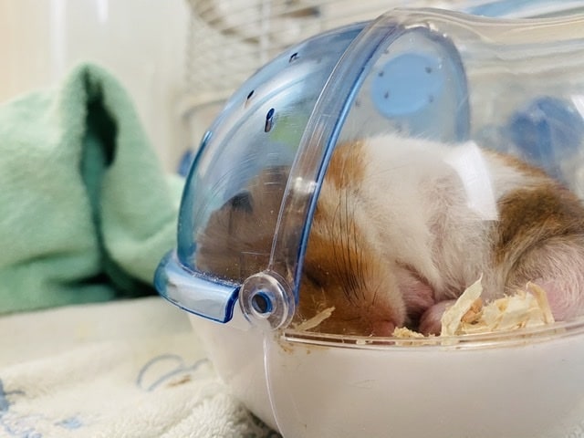 写真を映えるようによりよく加工します 時間がない！早くSNSに投稿したいあなたに！写真加工お任せ！ イメージ5