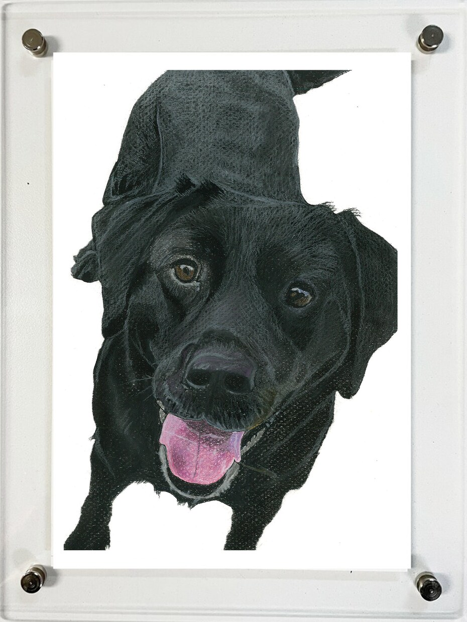 ペットの似顔絵を写真のようにリアルに描きます 犬、猫、うさぎなど動物の肖像画を手描きでリアルに描きます イメージ4