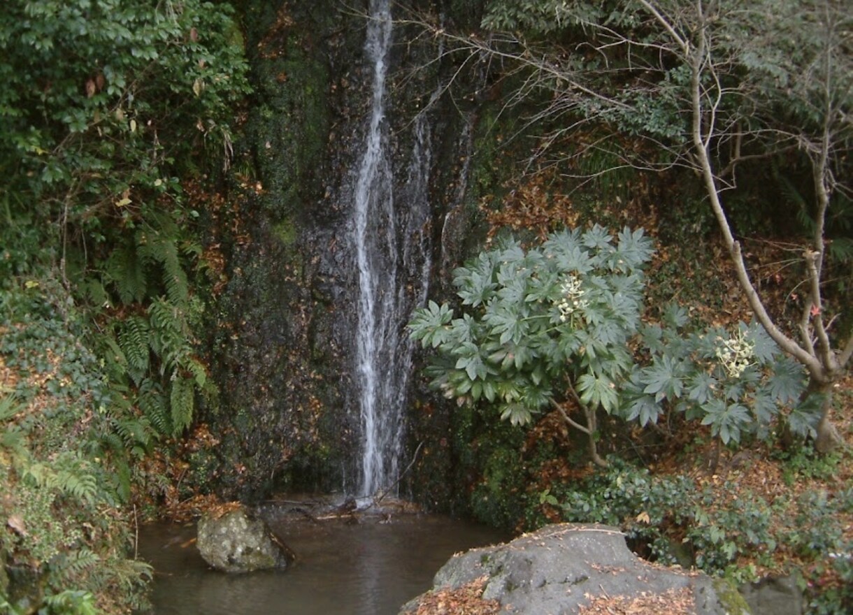 白山、金劔宮へ参拝します 日本三大金運神社のひとつ商売繁盛、夫婦円満の神社になります！ イメージ2