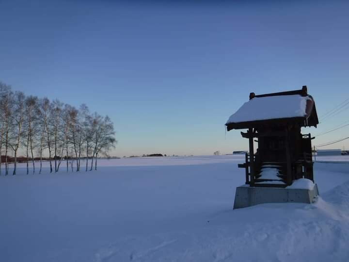 用途不問の背景画像提供します 背景に使えそうな写真を提供します イメージ7