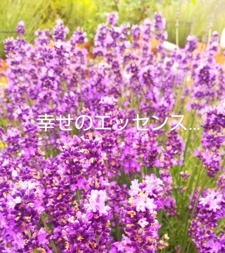 女性専用⭐霊聴でお仕事についてのお悩みを鑑定します 就職、転職、会社選び、職場の人間関係等お話聞きます※恋愛不可 イメージ4