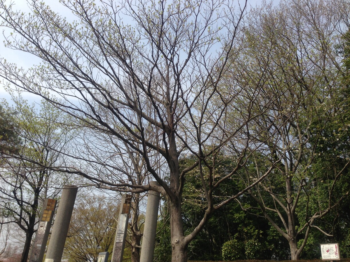 お悩みやストレス発散等何でもお聞きします 恋愛相談やお仕事、などでの悩み等どの様な事でも構いません。 イメージ1