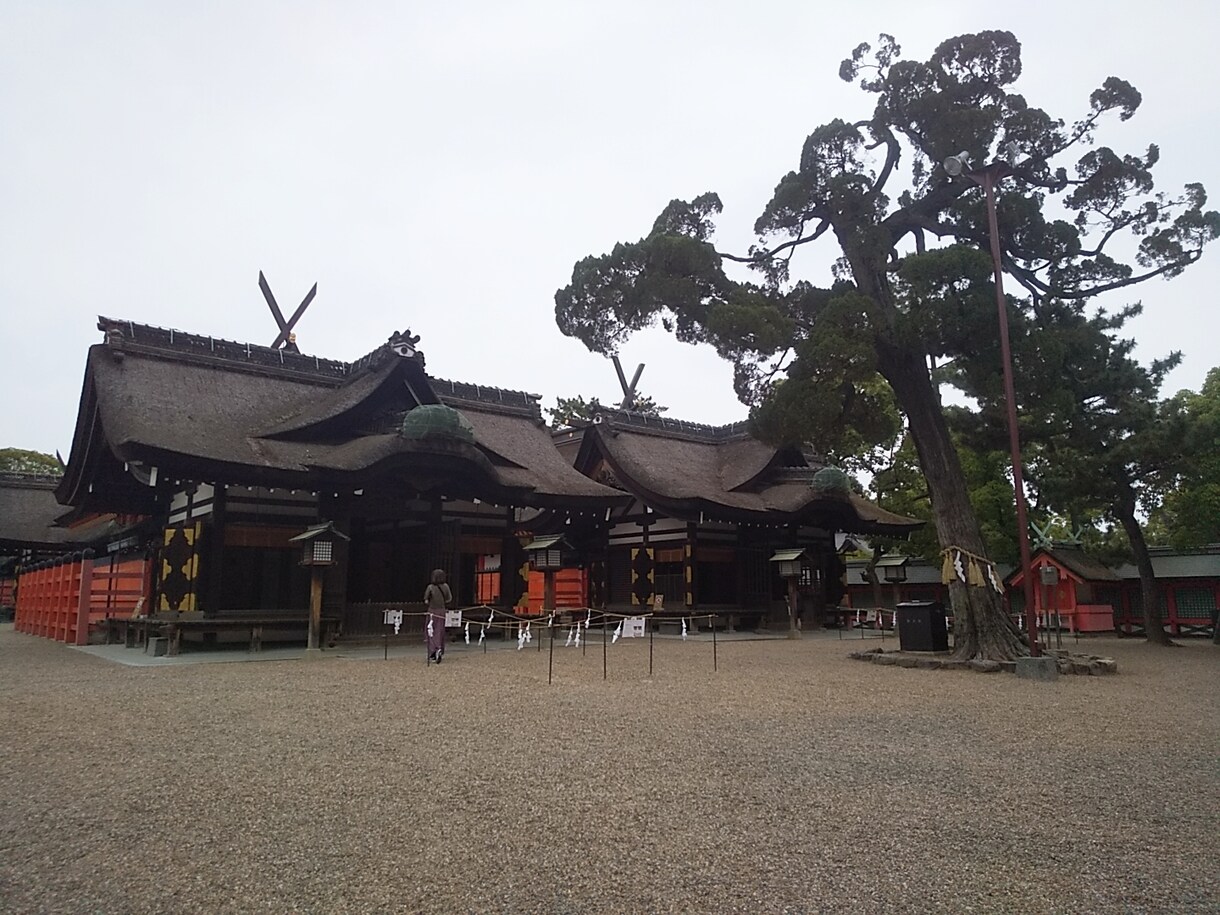 あなたに代わっておみくじ引きます 大阪の住吉大社にておみくじ占い☆&オラクルカード占い付き☆ イメージ3