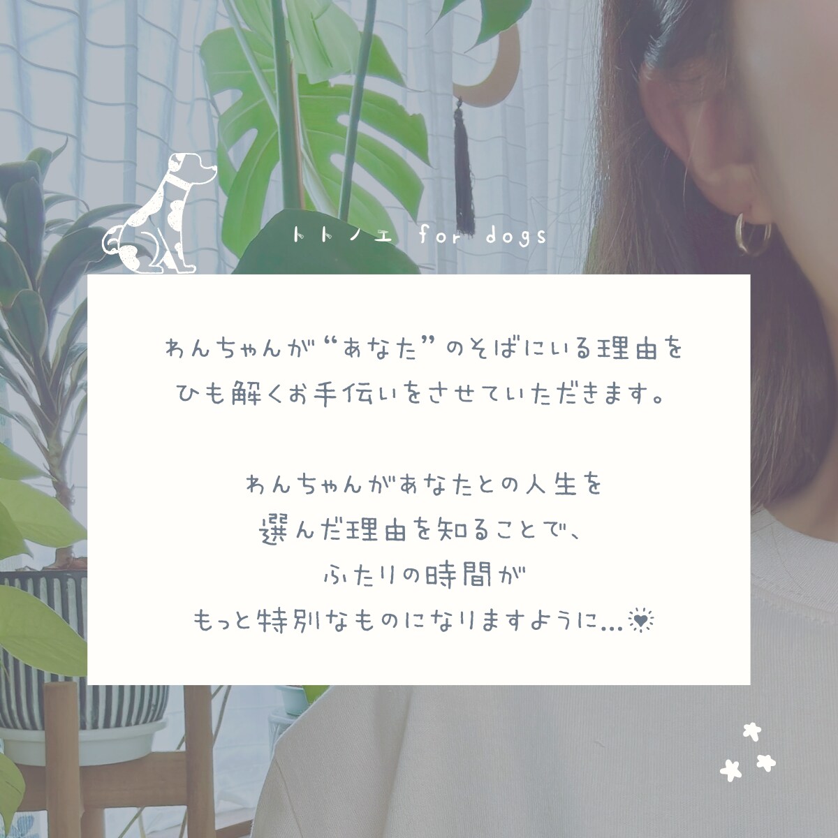 愛犬が、あなたのそばにいる理由をひも解きます 五行ホンシツ鑑定と併せて、ふたりの特別なつながりをお届け イメージ8
