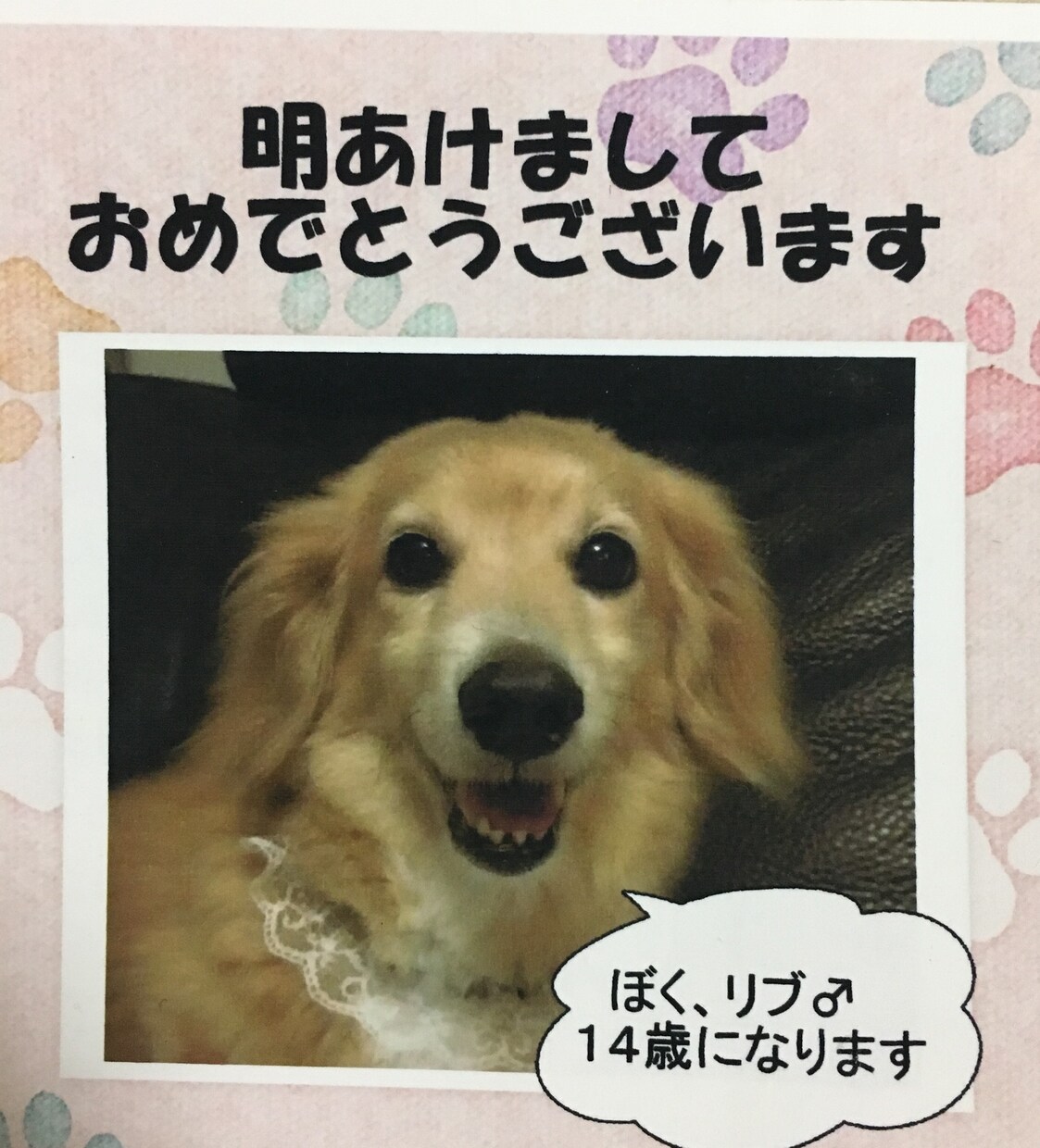 ペットの遺影を水墨画で描きます ペットの想い出を残したい方、写真では物足りない方へ イメージ3
