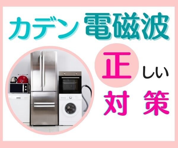 カデンの電磁波をしっかり下げる極意を伝授します 動画でわかる＆サポート付き☆残り4名様価格☆ イメージ2