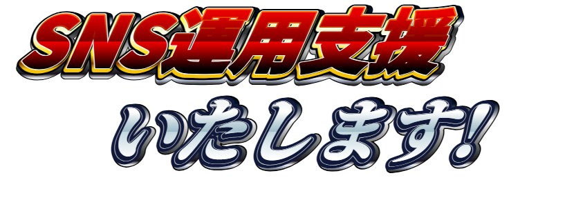 現役SNS統括がSNS運用支援します 半年でインスタフォロワー数1,000を超えたSNSの運用支援 イメージ1