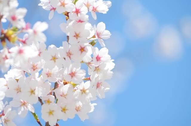 ワンコインであなたのお悩み全て聞きます 現役女子高校生の私があなたのお悩み聞きます！！ イメージ1