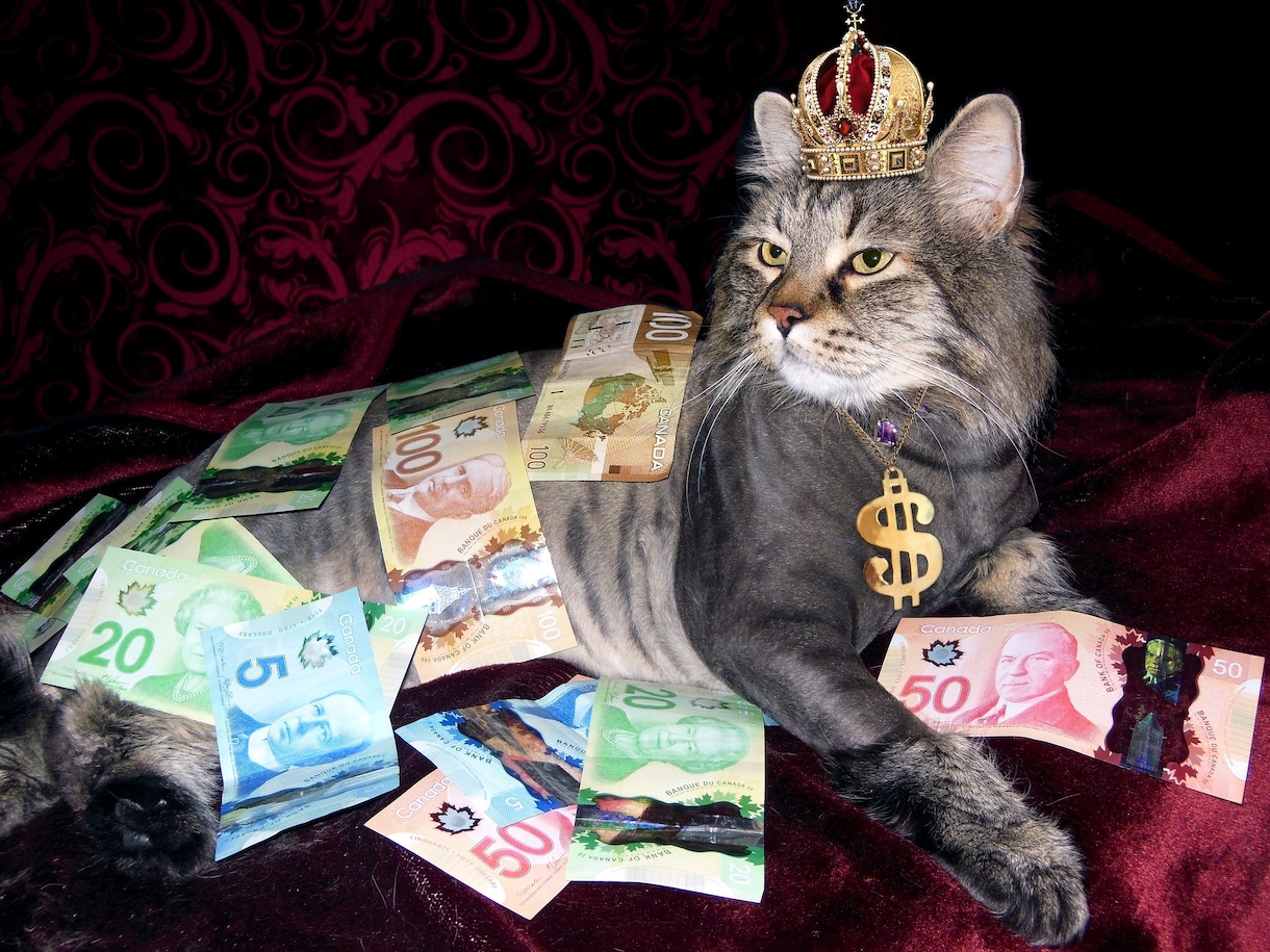 お金に関する不安、心配、焦りを癒します 仕事を前進させたい、豊かになりたい、お金のブロックを外します イメージ1