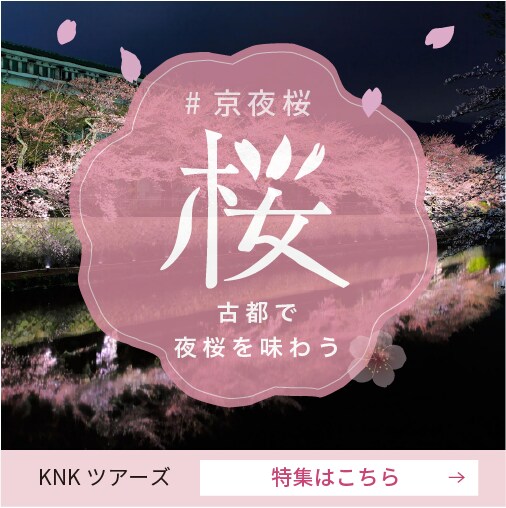 Web広告・SNSバナー制作します 旅行・観光・採用・企業向け対応 イメージ1