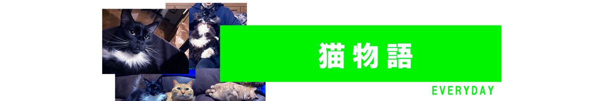 YouTube用バナーの作成いたします YouTubeチャンネルでのヘッダー、バナーを作成いたします イメージ2