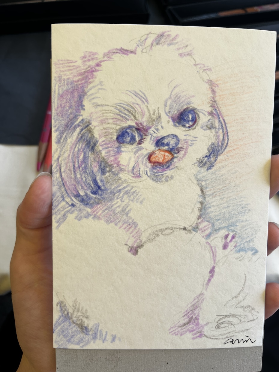 色鉛筆でペットの似顔絵ポストカード制作します 色鉛筆で雰囲気のある色味の似顔絵を描きます！ イメージ7