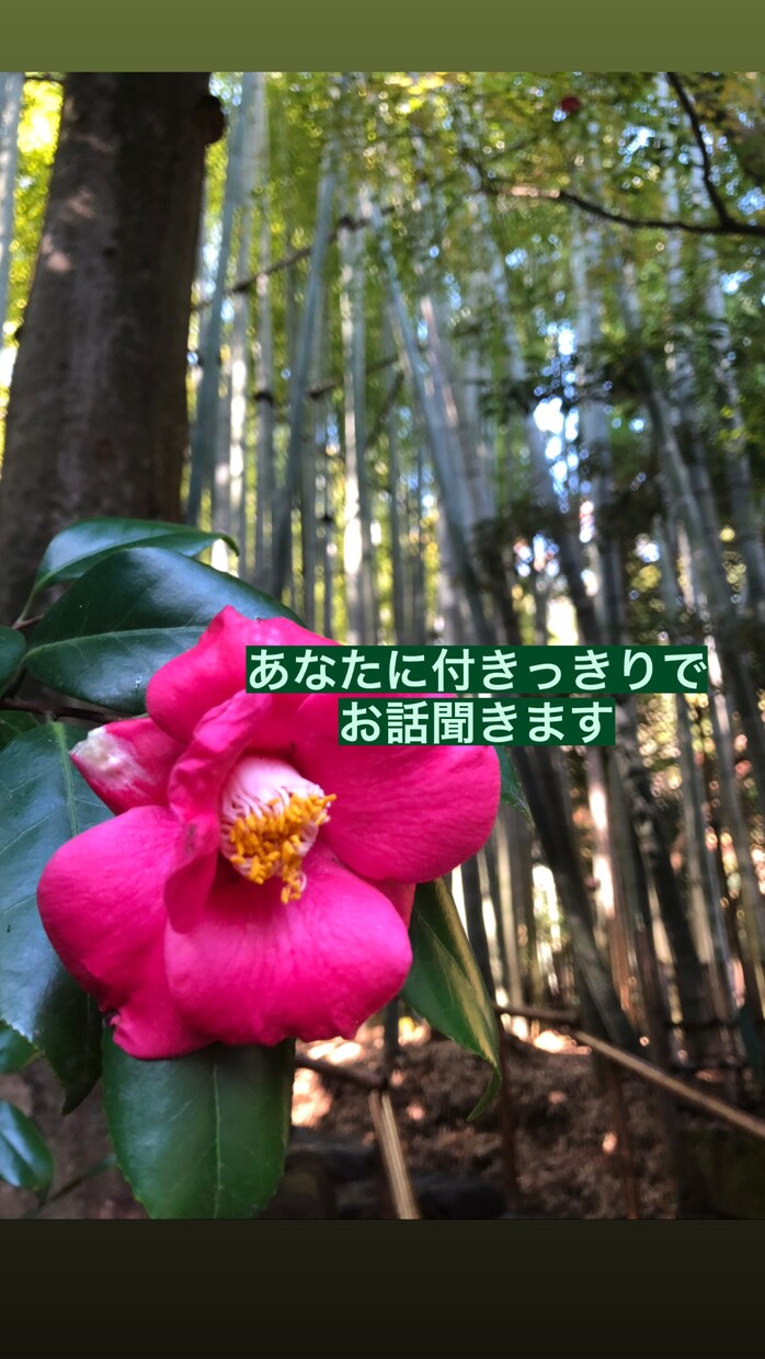 1時間、つらくどうにもならない気持ちを聞きます つらい苦しい気持ちを1時間付きっきりでお聞きします。 イメージ1