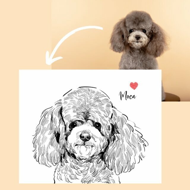 うちの子ペットをモノクロ似顔絵にします 犬・猫のお写真をシンプルでおしゃれなモノクロイラストに イメージ6