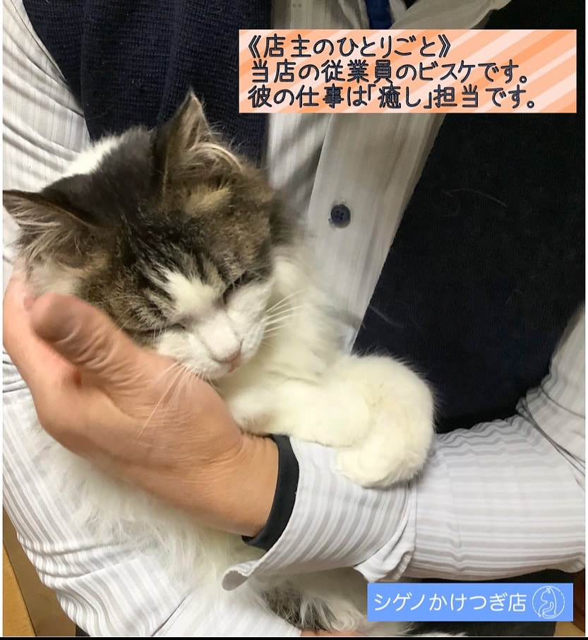 かけつぎ　大切な洋服やセーターの傷・破れを直します かけつぎ(かけはぎ)40年以上の職人がご相談に乗ります イメージ9