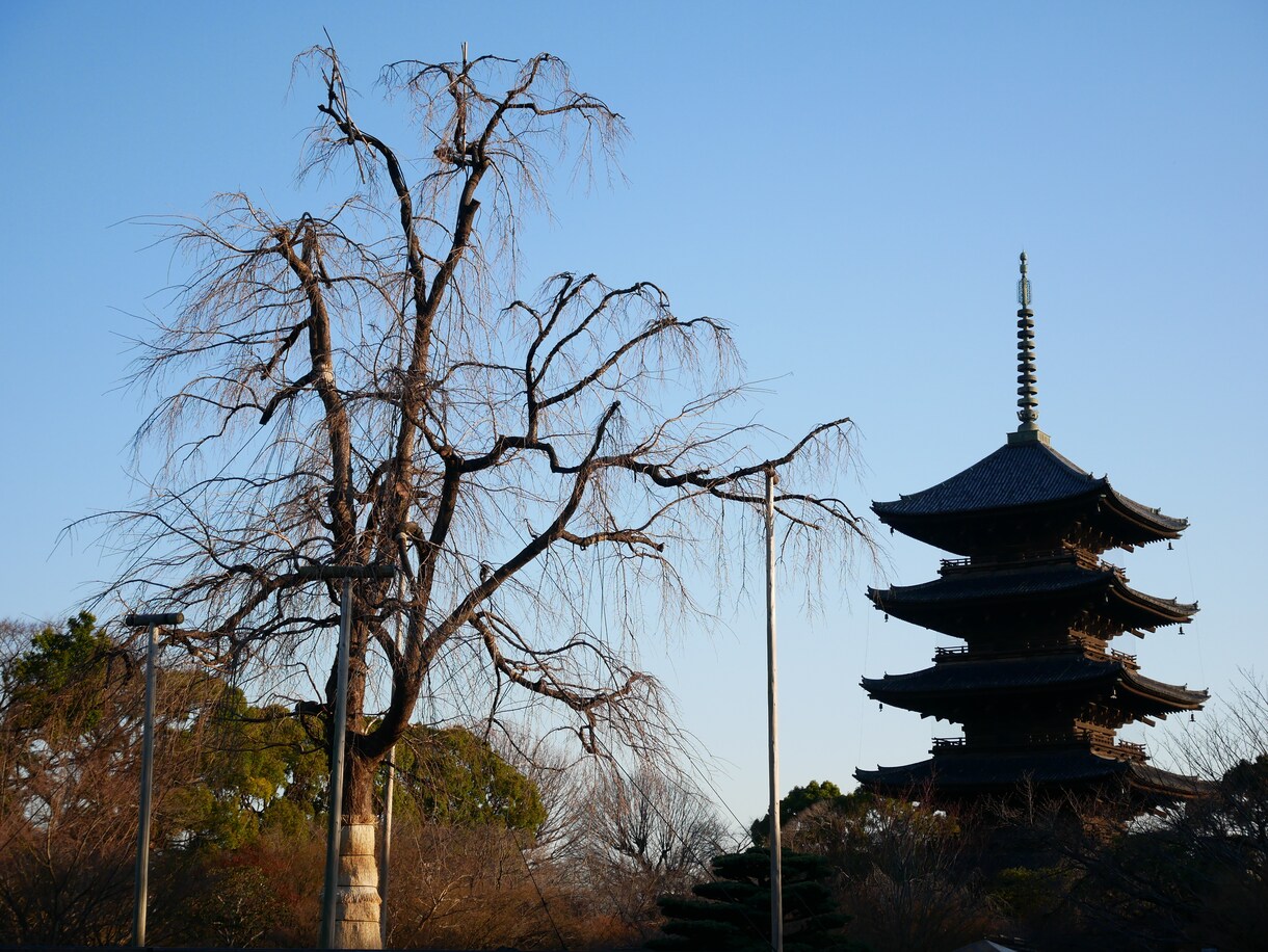 あなたのご希望に合わせて旅行プランを立てます 旅程を組むのが苦手・面倒な方に！ イメージ1