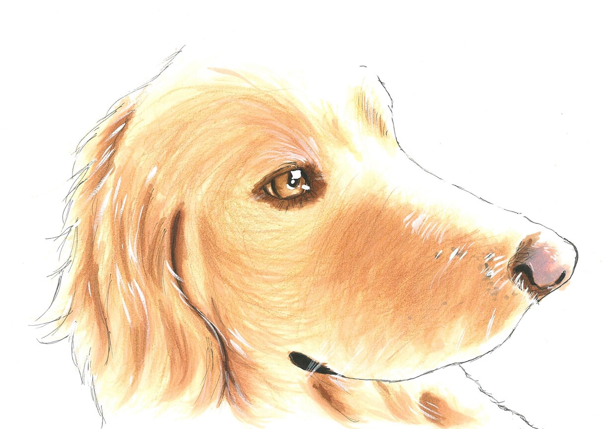 アイコン・似顔絵お描き致します 手描きの温かみのあるSNS用アイコンは如何でしょうか！ イメージ1