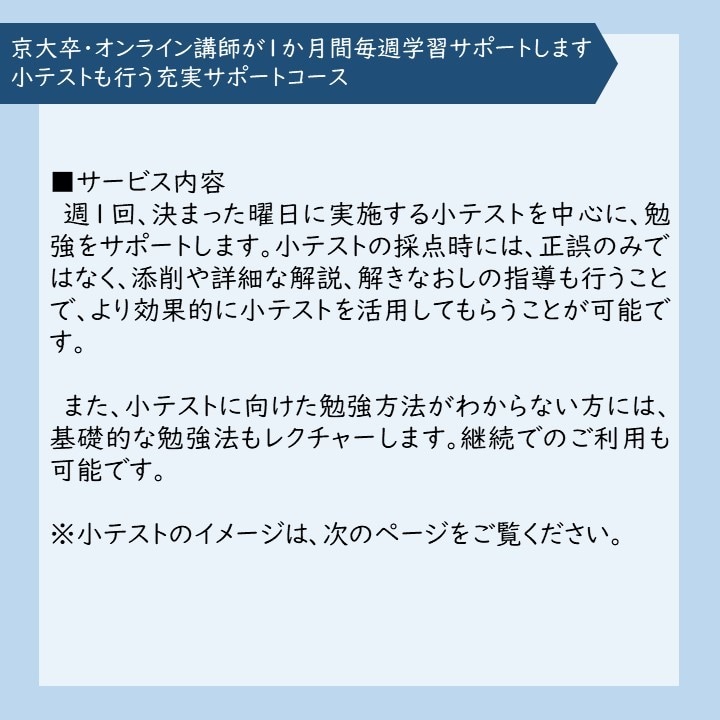 京大卒オンライン講師が1か月毎週学習サポートします 小テストも行う充実サポートコース イメージ2
