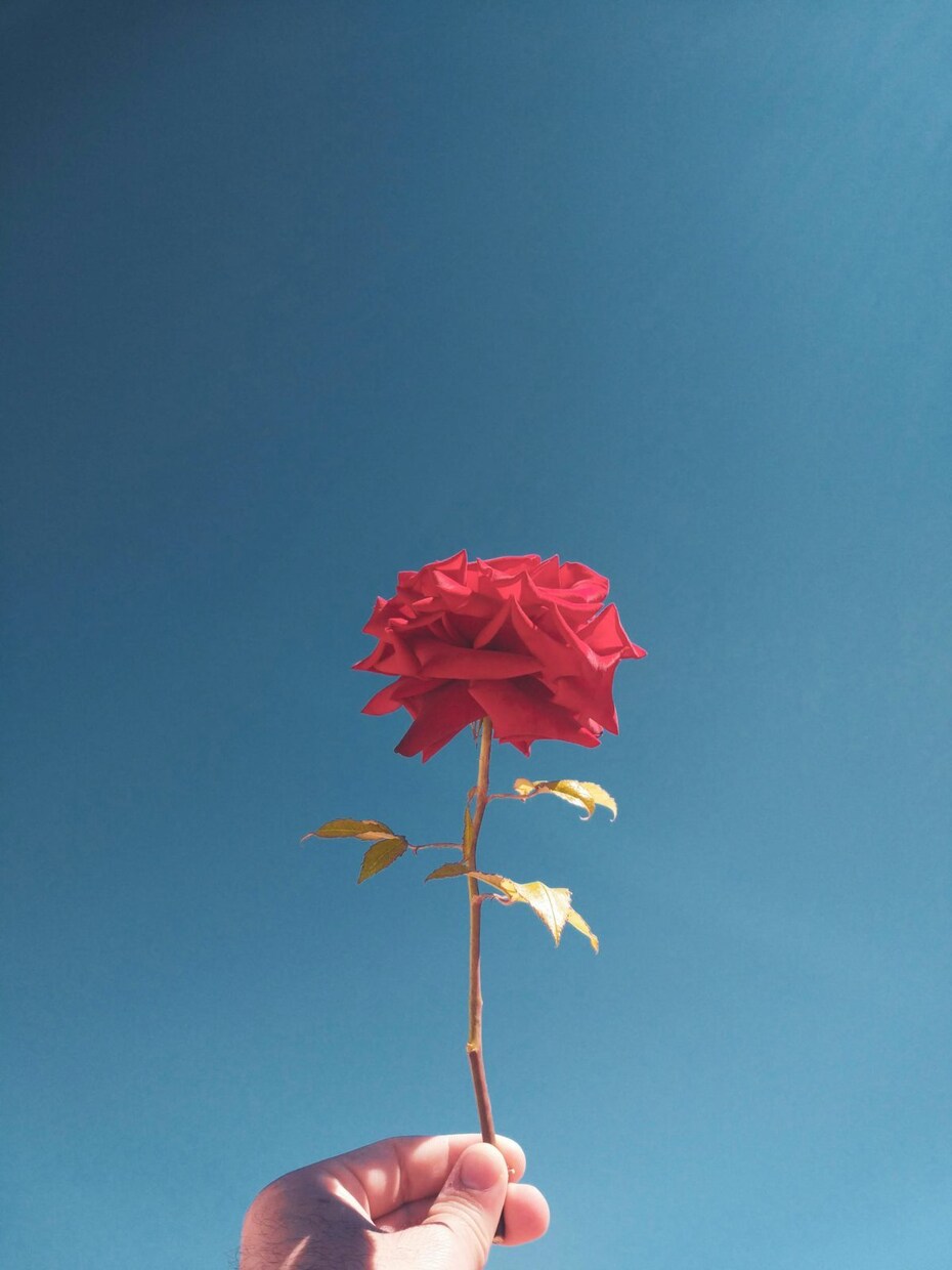 統計学であなたの人生を開花させます 子育てしながら自分の人生フル満喫、ママの人生開花統計学 イメージ1
