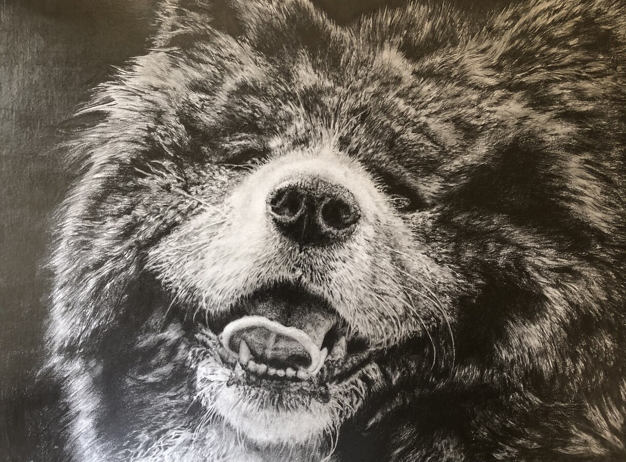 鉛筆でリアルな似顔絵など描きます アナログの原点　手描き鉛筆画の魅力を イメージ3