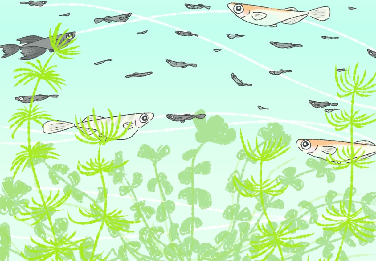 ゆるかわᗦ↞◃生き物イラスト描きます SNSアイコンや観賞用に！(˙˘˙ ﾐэ)Э イメージ2