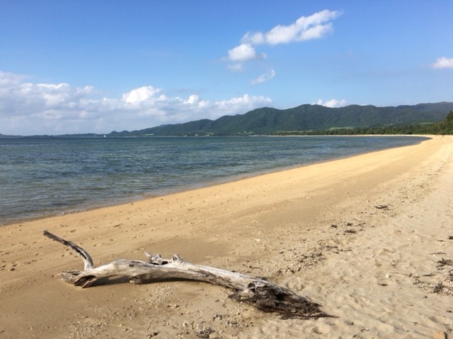 心を解きほぐし明るい未来を紡ぐお手伝いをいたします 親子関係・義家族問題・不妊などでお悩みのあなたへ イメージ2