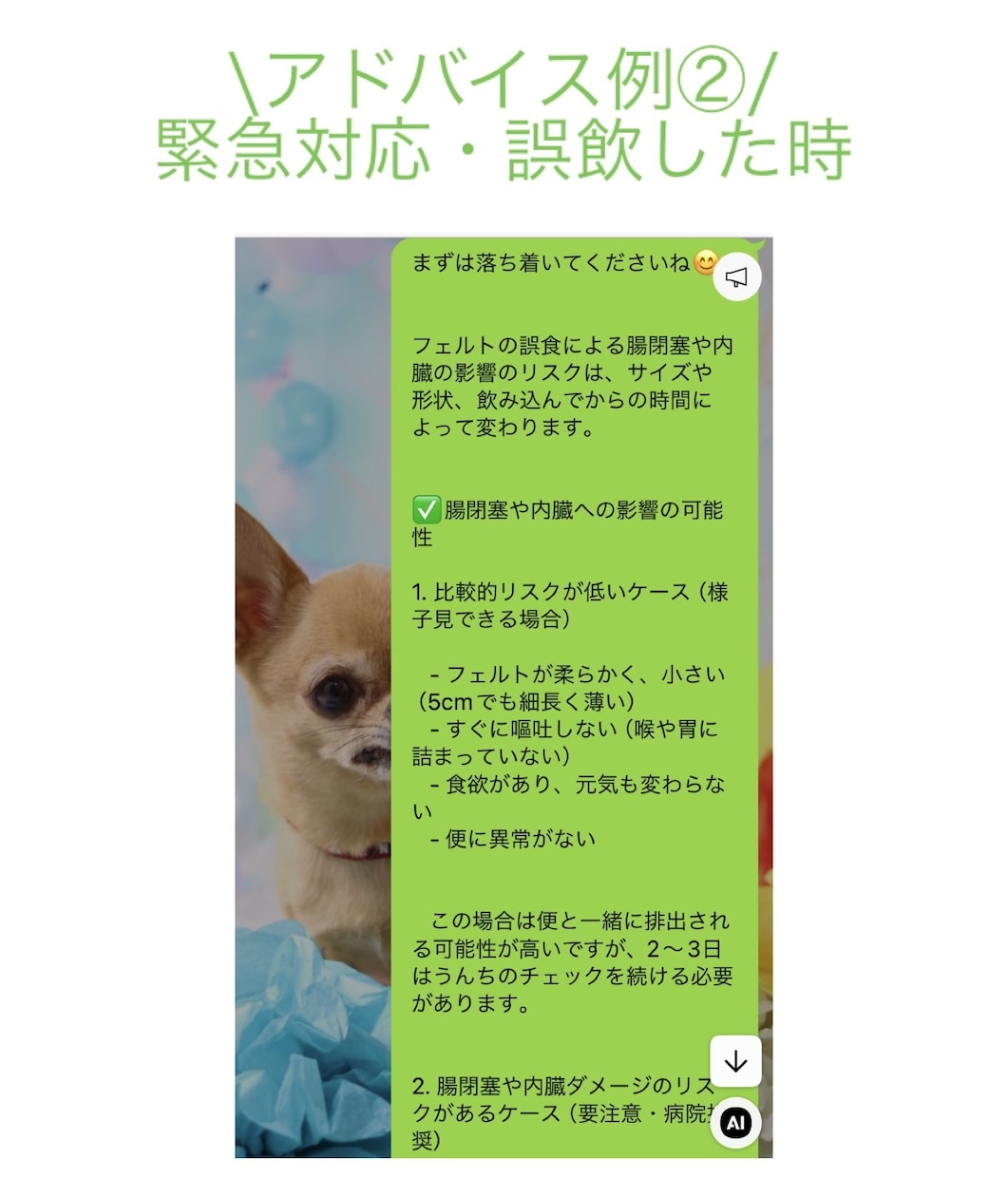 オンラインしつけ相談をします ペットとより良い暮らしに！しつけ教室の前にご相談ください！ イメージ4