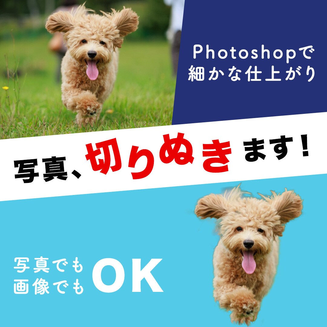 写真の切り抜きいたします Photoshop使用、丁寧に切り抜きします！ イメージ1