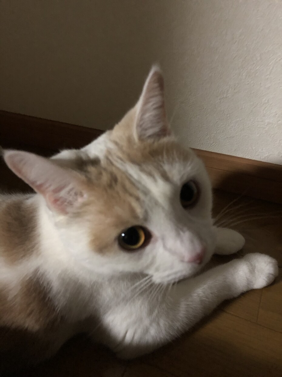 愚痴ききます アダルトはNGです。話しききます。 イメージ1