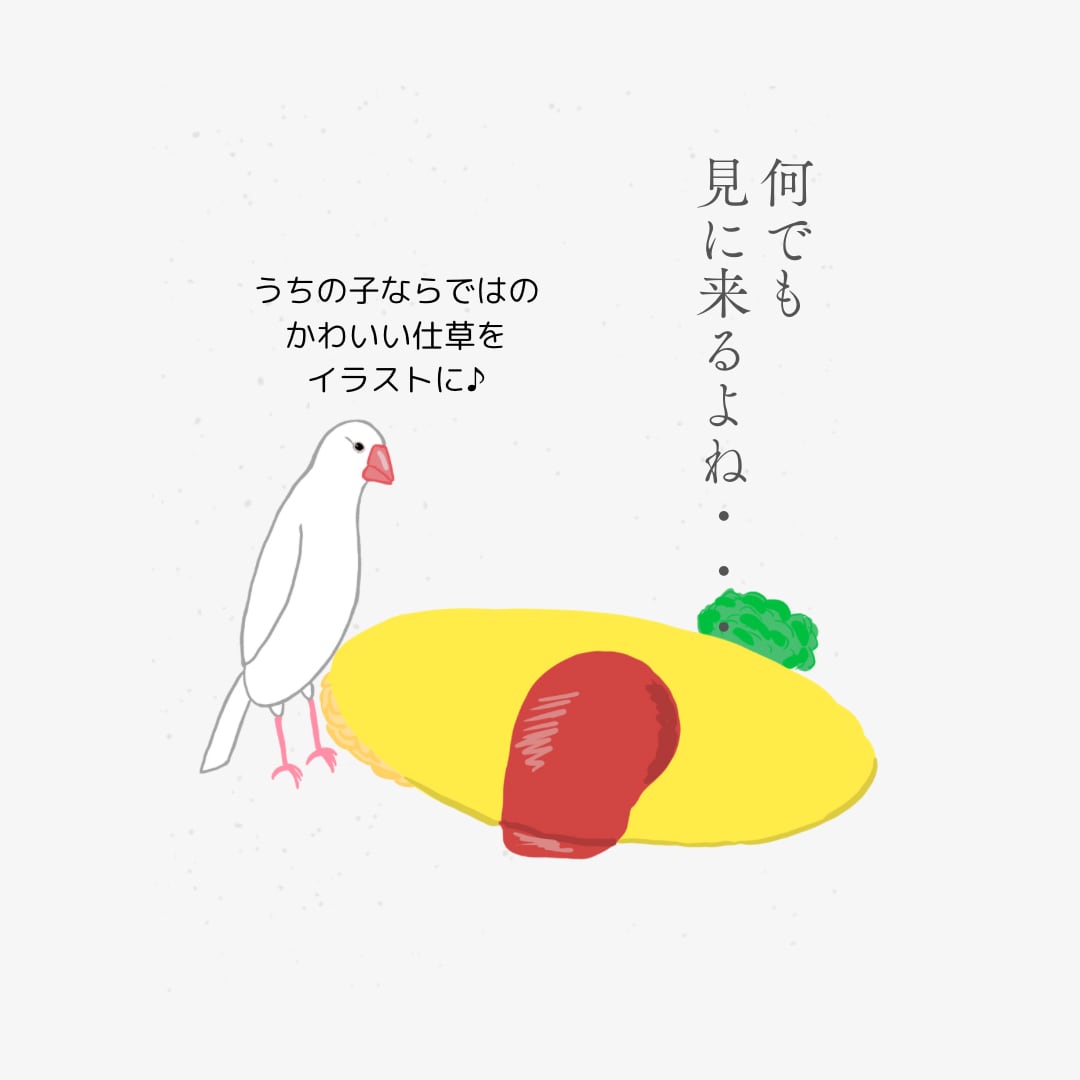 文鳥のオリジナルイラスト描きます 文鳥オタクの飼い主さん、ご家族、ご友人へのプレゼントに最適 イメージ1