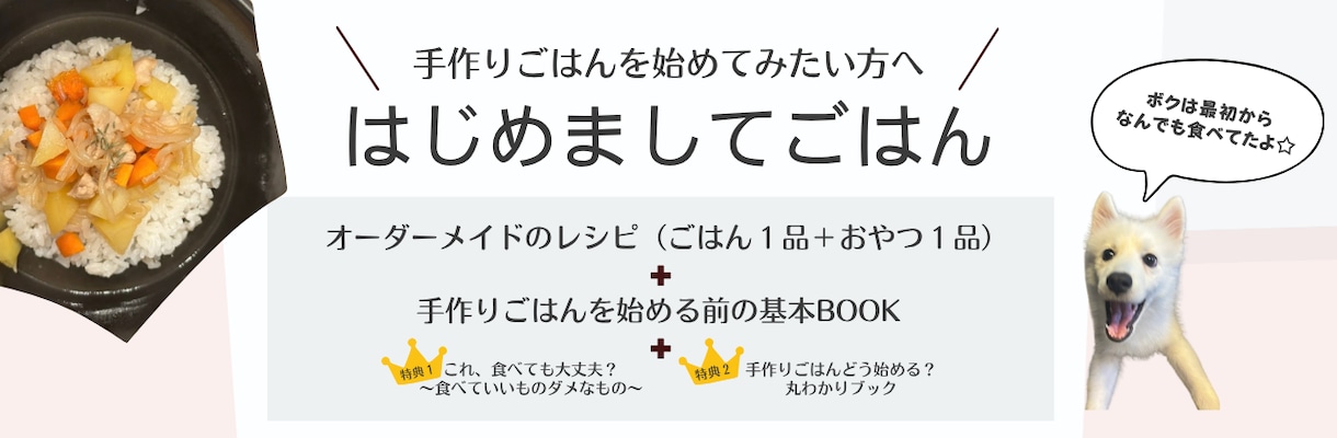 愛犬の初めての手作りごはんレシピを作ります 元動物看護師が考える、愛犬専用レシピ２品と初心者向けガイド付 イメージ1