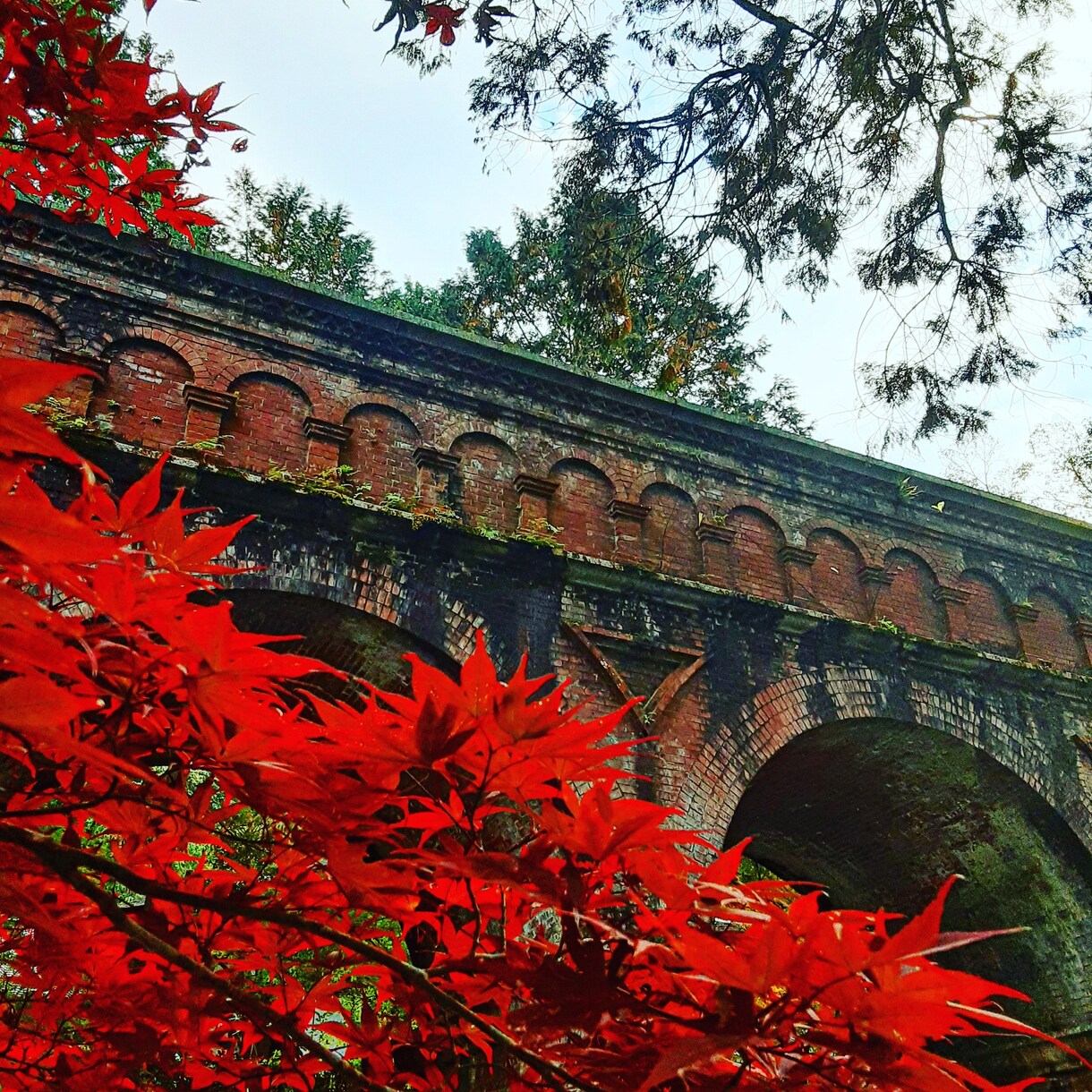 京都の四季の写真提供しています 京都の何気ない風景や四季の風景写真 イメージ4