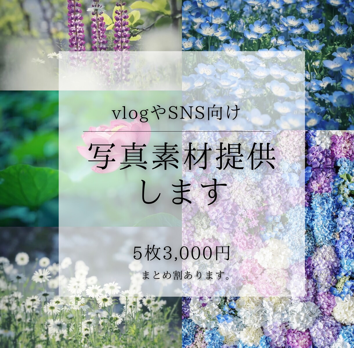 SNSに使える高品質な写真の素材提供します カメラ歴7年の私が撮影したお花や猫の イメージ1