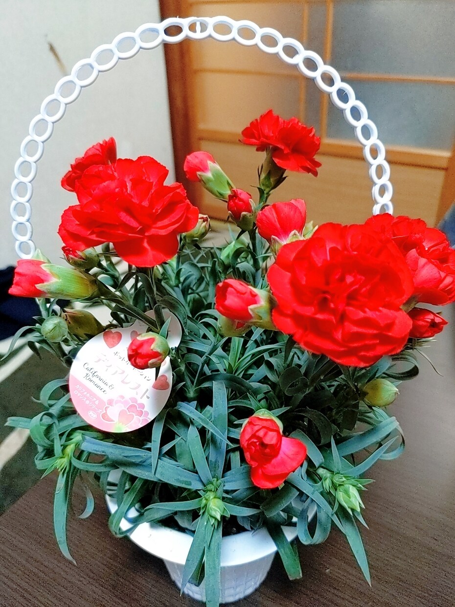 色々相談に承ります 一人で悩まないで……少しずつ前に進みましょう。 イメージ1
