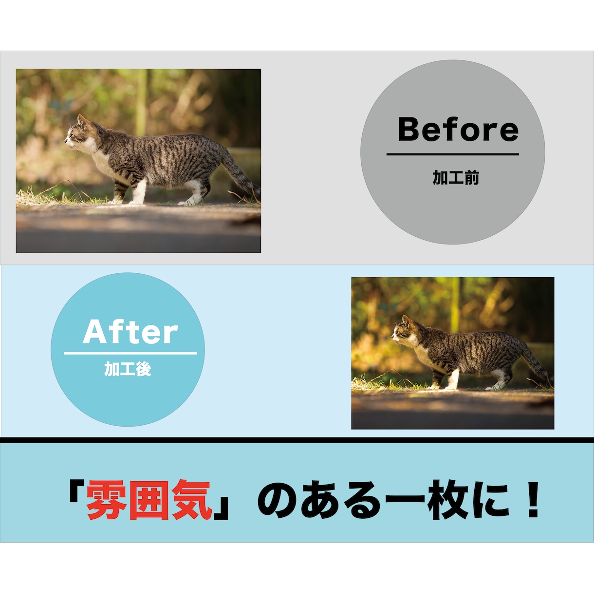 あなたの写真を”雰囲気のある一枚”に変えます いつもの写真に少し雰囲気を加えて、あなただけの一枚に！！ イメージ1