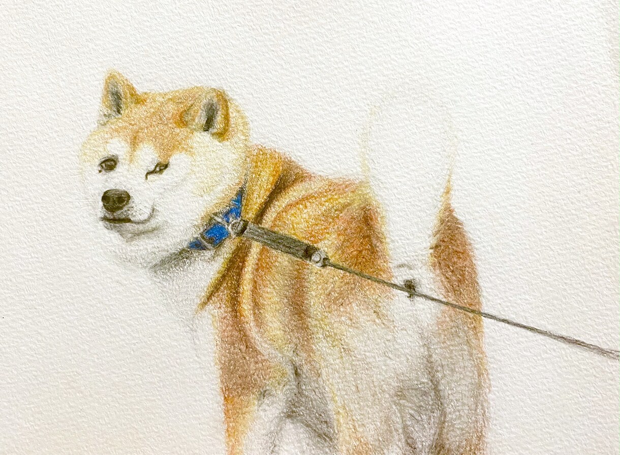 色鉛筆で動物、ペットの似顔絵お描きします 温かみのある世界に一つだけの絵をお届けします イメージ7