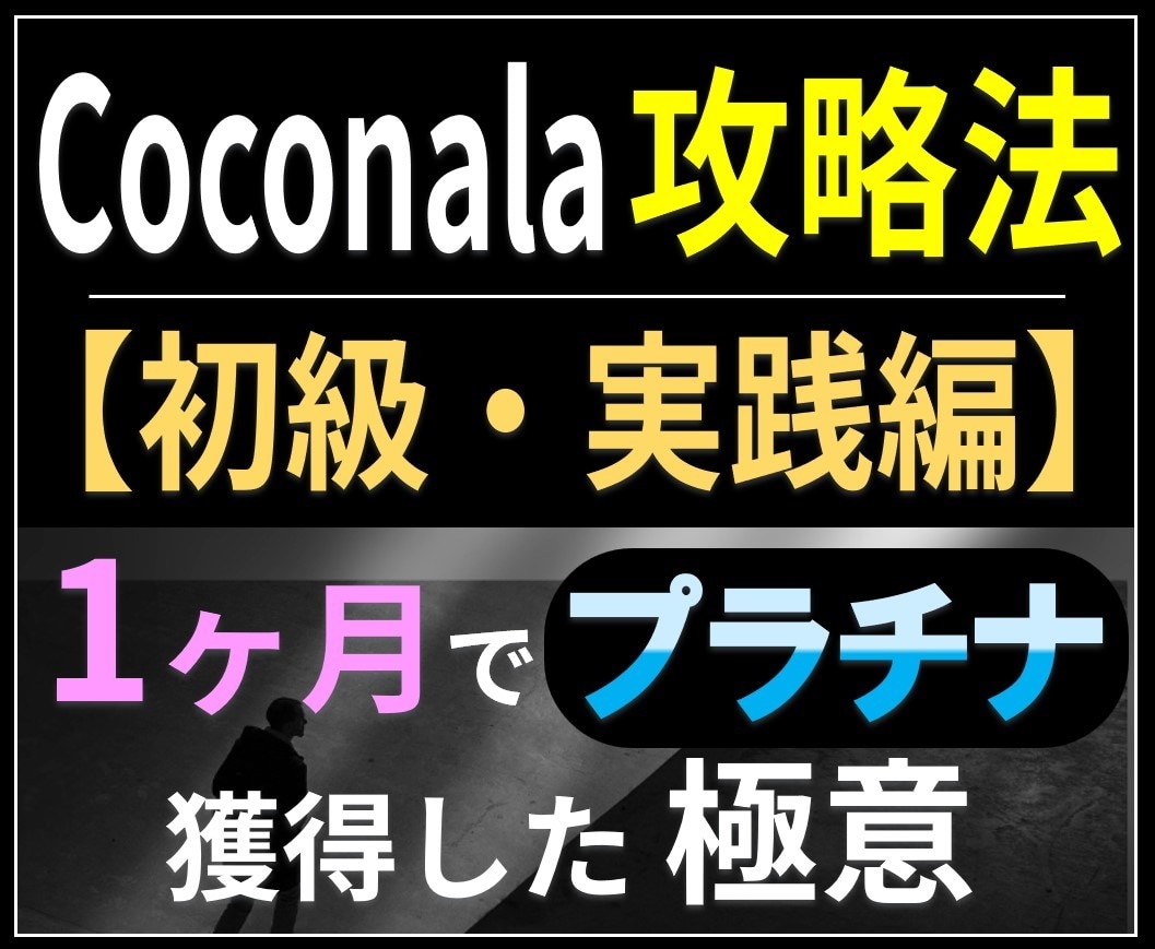 ココナラ★初級編～副業にならない稼ぎ方実践してます 初月プラチナ獲得した方法が丸わかり★マニュアル抜粋無料配布中 イメージ2