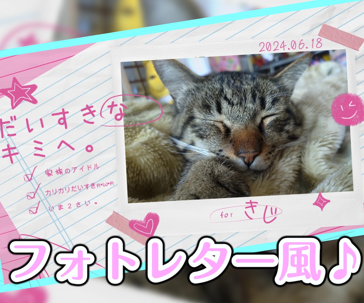 大好きなペットちゃんの説明書（動画）製作します ♪　ペットが好き好き♪　飼い主様のインタビューをもとに作成！ イメージ2