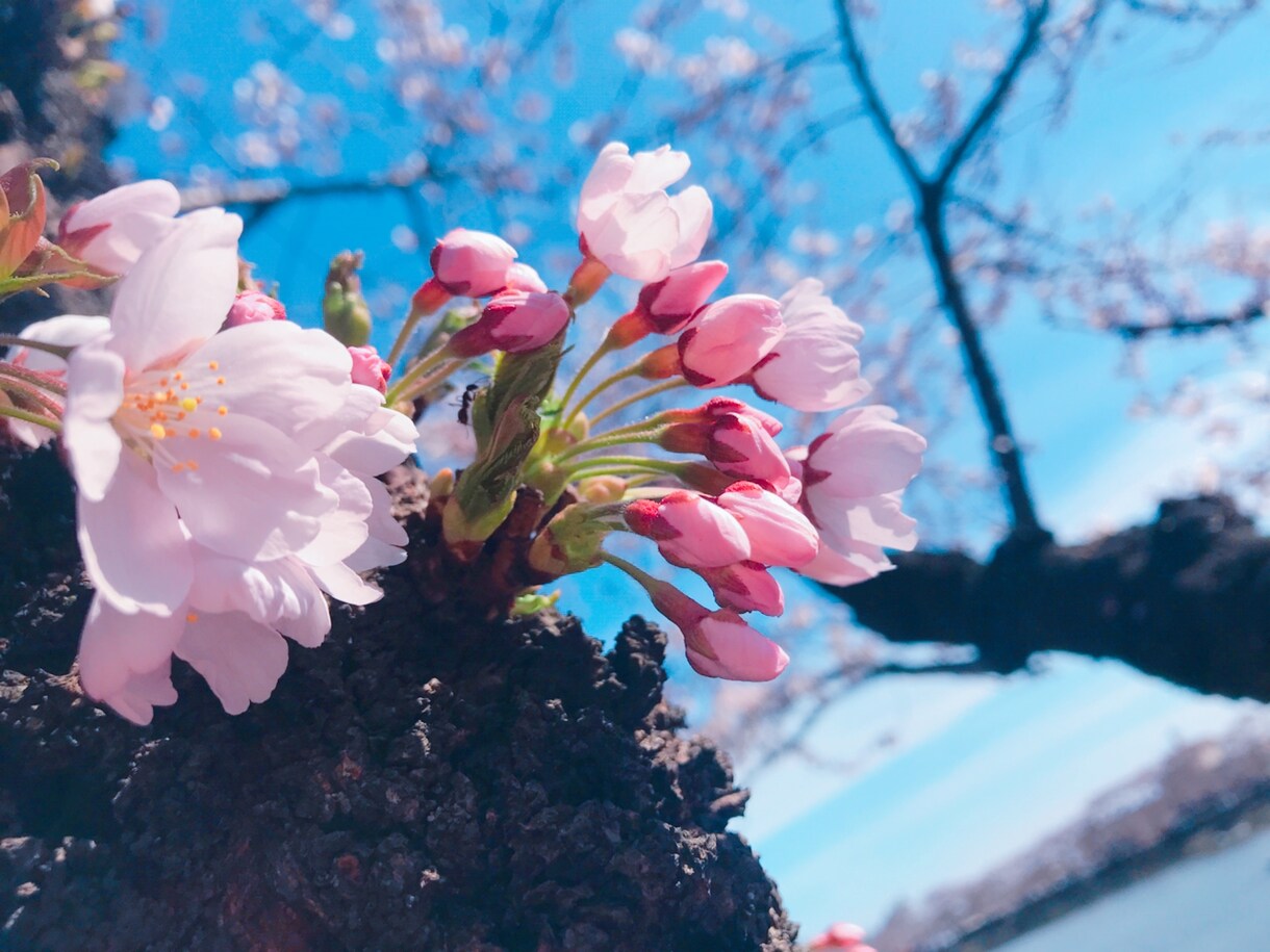 心のコントロールお手伝いします 大切な人と自分のために心の伝え方ポジティブに教えます！ イメージ1