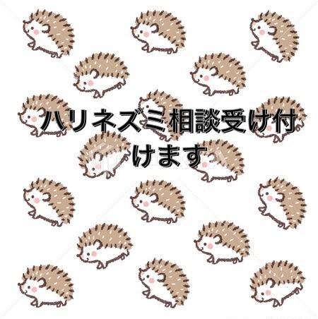 ハリネズミの飼育、悩み、繁殖相談受付けます 飼育歴9年 現在ハリさん7匹飼育してます イメージ1