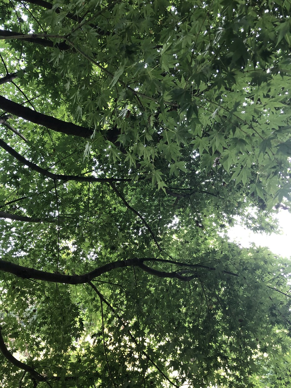 どんな小さな悩みも一緒に解決するお手伝いをします メンタルケア重視で幸せの糸口へ イメージ2