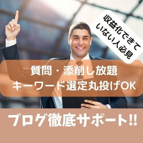 個人ブロガーにブログアドバイス!完全サポートします ブログ初心者・収益化が出来ていない人の徹底サポート!! イメージ1