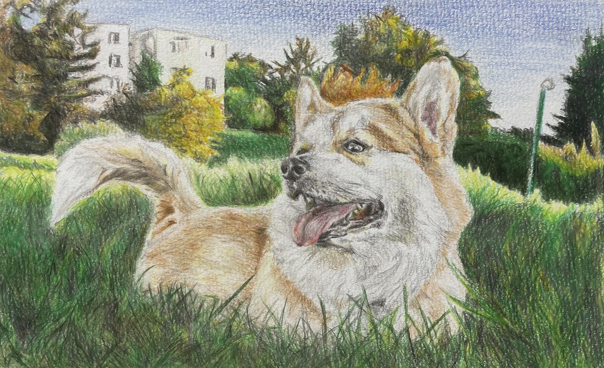 家族の肖像画(ペット)などを描かせていただきます 肖像画、風景画を、クレヨンや鉛筆で描かせていただきます。 イメージ5
