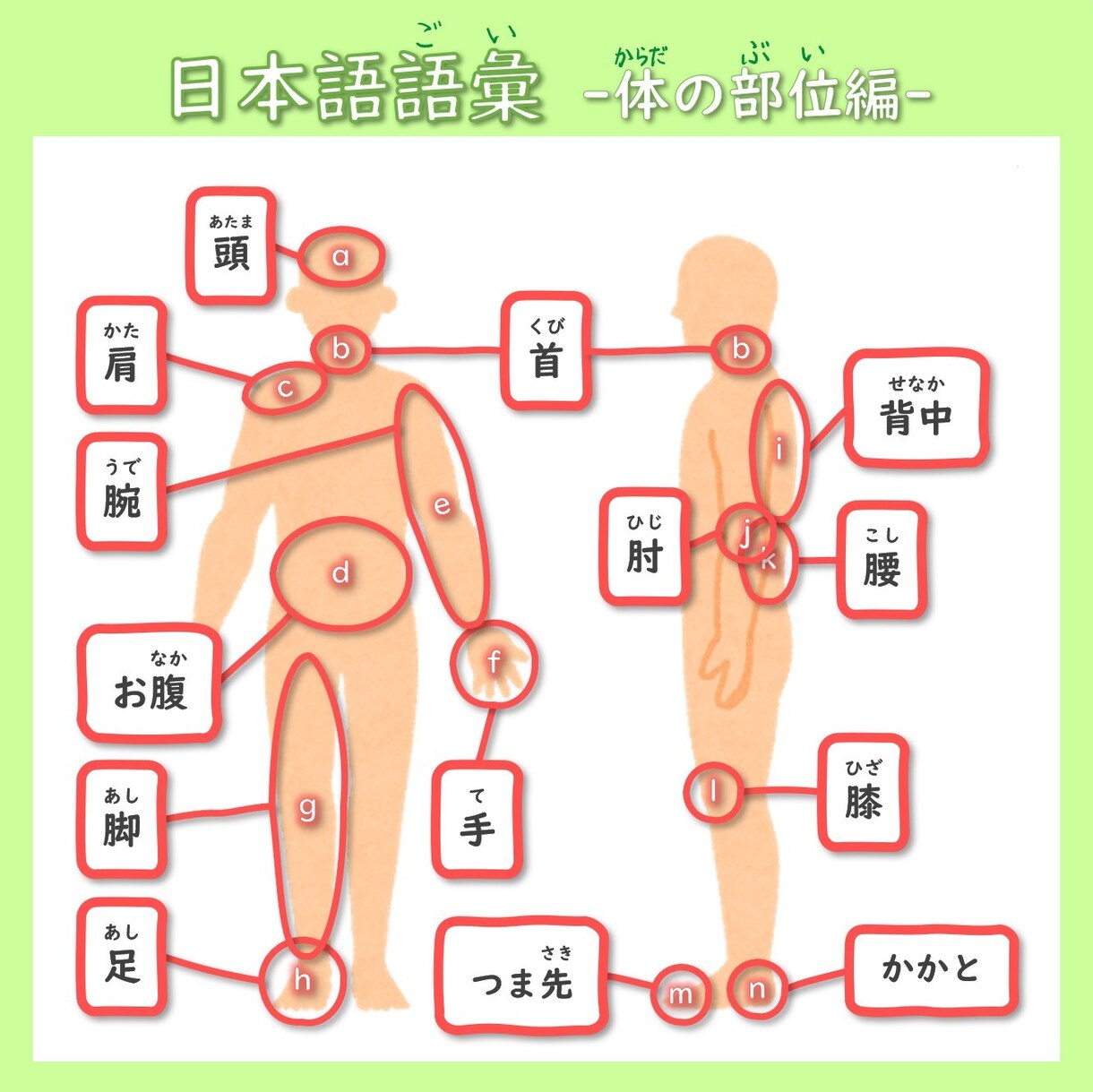 有資格の現役プロ講師が日本語の学習方法を教えます 目的や弱点に合った教材＆学習方法で効率的に日本語力アップ！ イメージ2