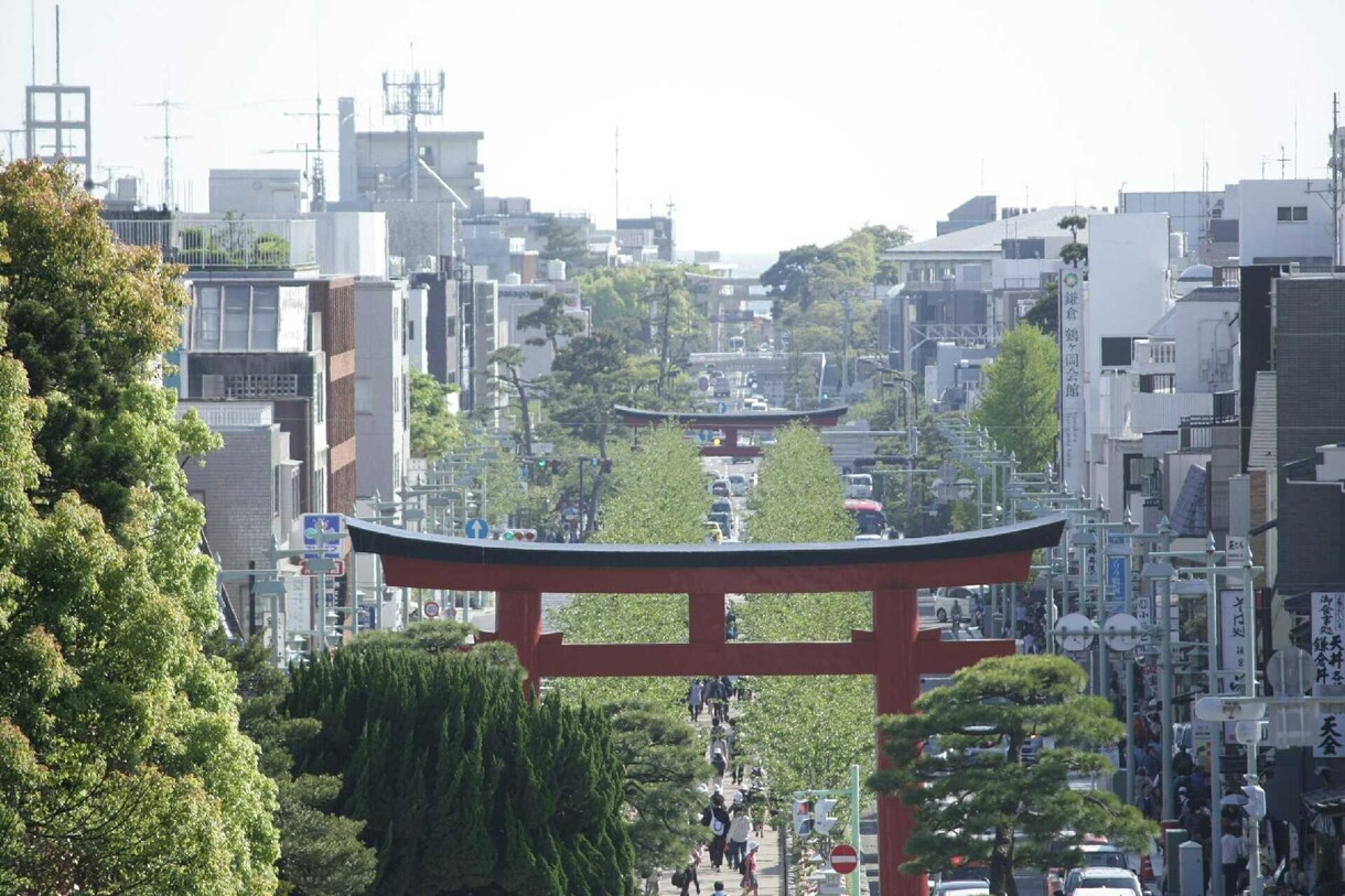 撮影代行します 撮影代行します画像の素材が欲しい方 イメージ1
