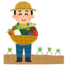 農業検定1級の俺が教える楽しい家庭菜園教えます 初めてからやりやすい植物から果物野菜の育て方から全て教えます イメージ1