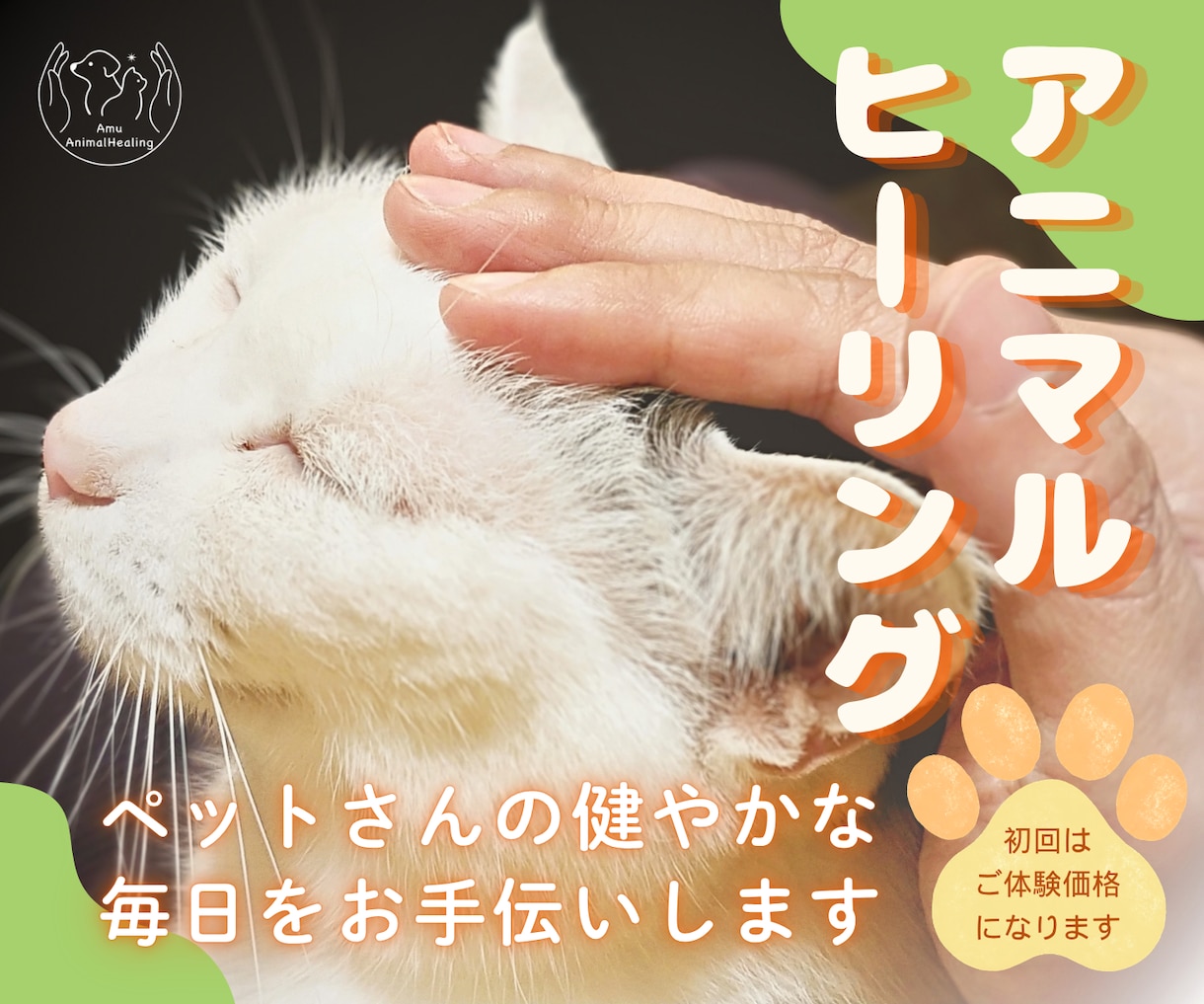 大切なペットさんへアニマルヒーリングをします ✤動物さんの健やかな毎日のお手伝い✤お家でゆったりヒーリング イメージ1