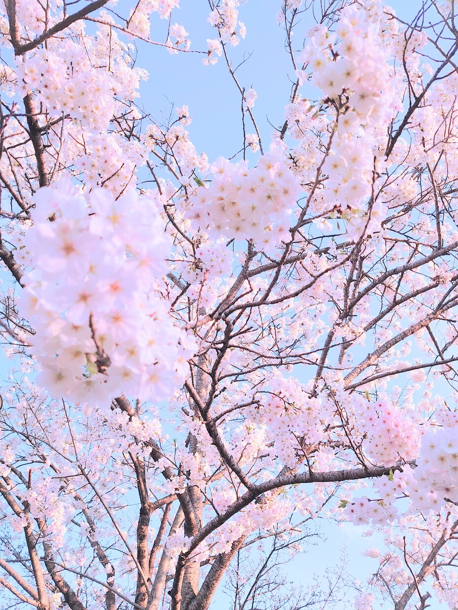 何でもお話聞きます 愚痴でも相談でもなんでも話してください☆ イメージ1