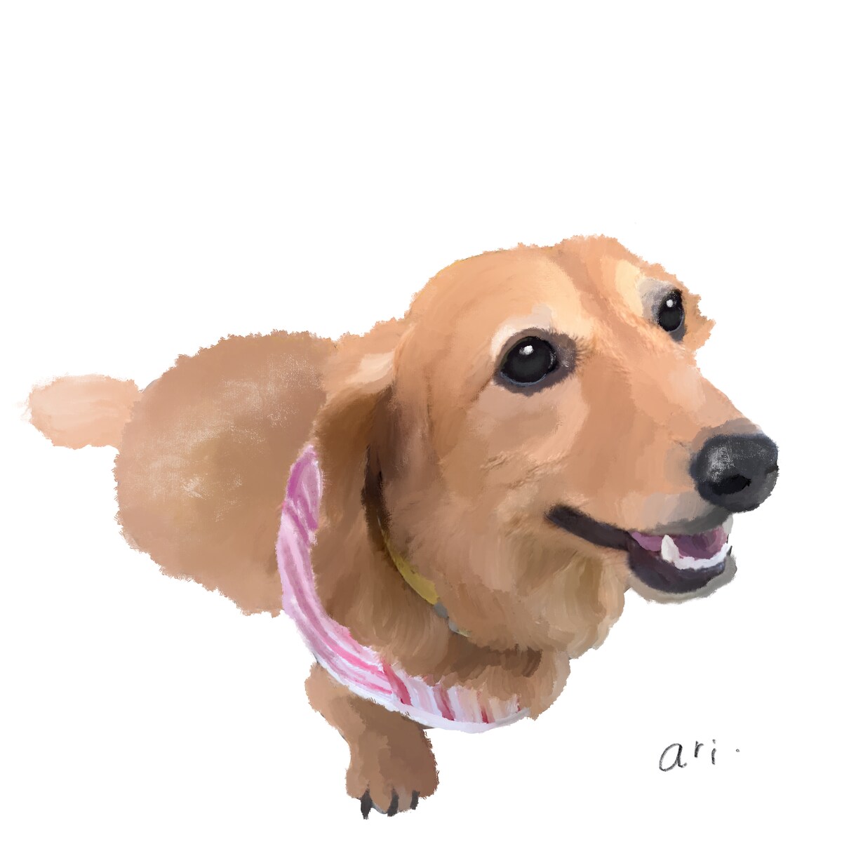 ご家族のペットを世界に1つだけのイラストにします 大切なペットさんのイラストをデータでお渡しいたします.*･ﾟ イメージ8